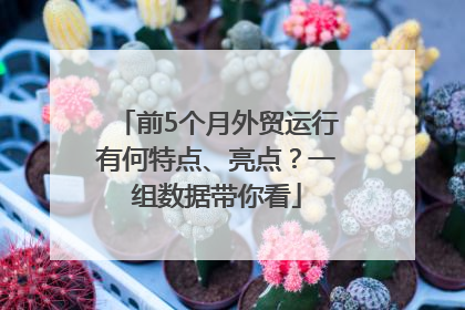 前5个月外贸运行有何特点、亮点？一组数据带你看